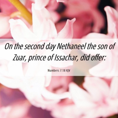 Picture 06 - Numbers 7:18 KJV - On the second day Nethaneel the son of Zuar, - Bible Verse Picture