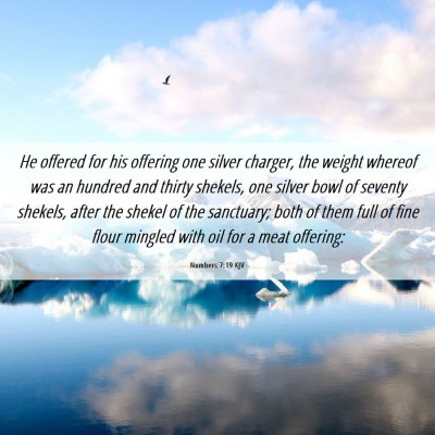 Picture 06 - Numbers 7:19 KJV - He offered for his offering one silver charger, - Bible Verse Picture