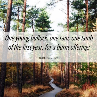 Picture 06 - Numbers 7:21 KJV - One young bullock, one ram, one lamb of the first - Bible Verse Picture