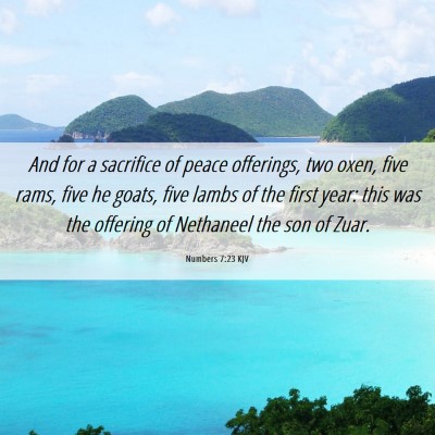 Picture 06 - Numbers 7:23 KJV - And for a sacrifice of peace offerings, two oxen, - Bible Verse Picture