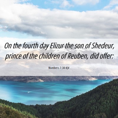 Picture 06 - Numbers 7:30 KJV - On the fourth day Elizur the son of Shedeur, - Bible Verse Picture