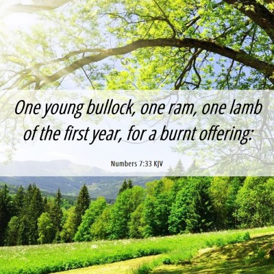 Picture 06 - Numbers 7:33 KJV - One young bullock, one ram, one lamb of the first - Bible Verse Picture