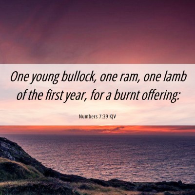 Picture 06 - Numbers 7:39 KJV - One young bullock, one ram, one lamb of the first - Bible Verse Picture
