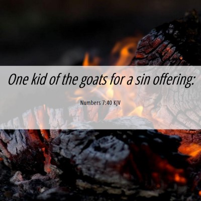 Picture 06 - Numbers 7:40 KJV - One kid of the goats for a sin - Bible Verse Picture