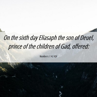 Picture 06 - Numbers 7:42 KJV - On the sixth day Eliasaph the son of Deuel, - Bible Verse Picture