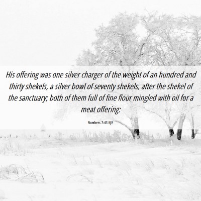Picture 06 - Numbers 7:43 KJV - His offering was one silver charger of the weight - Bible Verse Picture