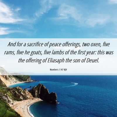 Picture 06 - Numbers 7:47 KJV - And for a sacrifice of peace offerings, two oxen, - Bible Verse Picture
