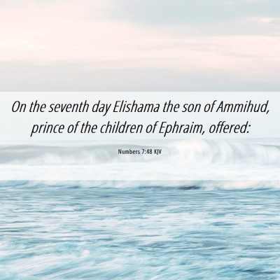 Picture 06 - Numbers 7:48 KJV - On the seventh day Elishama the son of Ammihud, - Bible Verse Picture