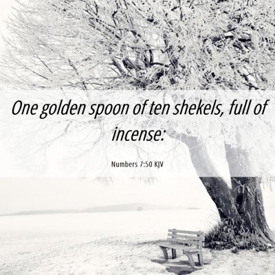Picture 06 - Numbers 7:50 KJV - One golden spoon of ten shekels, full of - Bible Verse Picture