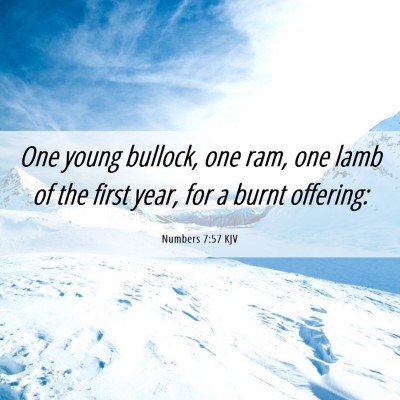 Picture 06 - Numbers 7:57 KJV - One young bullock, one ram, one lamb of the first - Bible Verse Picture