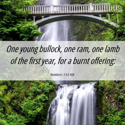 Picture 06 - Numbers 7:63 KJV - One young bullock, one ram, one lamb of the first - Bible Verse Picture