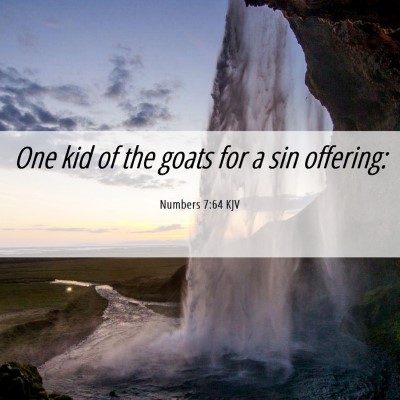 Picture 06 - Numbers 7:64 KJV - One kid of the goats for a sin - Bible Verse Picture