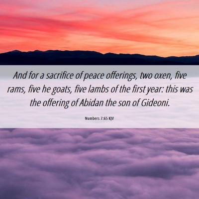 Picture 06 - Numbers 7:65 KJV - And for a sacrifice of peace offerings, two oxen, - Bible Verse Picture