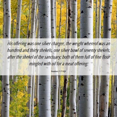 Picture 06 - Numbers 7:73 KJV - His offering was one silver charger, the weight - Bible Verse Picture