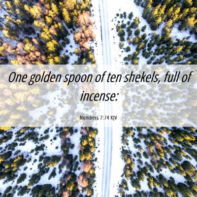 Picture 06 - Numbers 7:74 KJV - One golden spoon of ten shekels, full of - Bible Verse Picture
