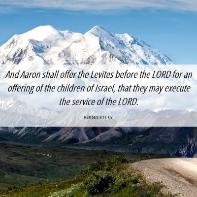 Picture 06 - Numbers 8:11 KJV - And Aaron shall offer the Levites before the LORD - Bible Verse Picture