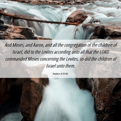 Picture 06 - Numbers 8:20 KJV - And Moses, and Aaron, and all the congregation of - Bible Verse Picture