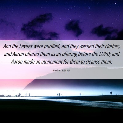 Picture 06 - Numbers 8:21 KJV - And the Levites were purified, and they washed - Bible Verse Picture
