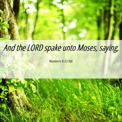 Picture 06 - Numbers 8:23 KJV - And the LORD spake unto Moses, - Bible Verse Picture