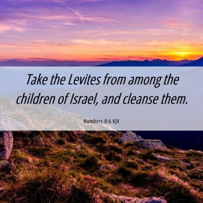 Picture 06 - Numbers 8:6 KJV - Take the Levites from among the children of - Bible Verse Picture
