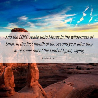Picture 06 - Numbers 9:1 KJV - And the LORD spake unto Moses in the wilderness - Bible Verse Picture