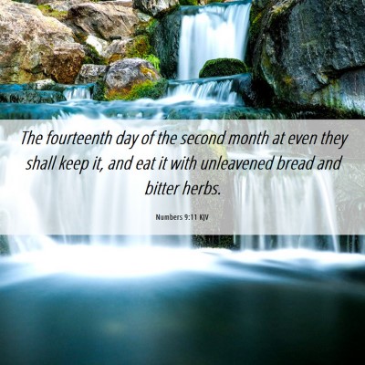 Picture 06 - Numbers 9:11 KJV - The fourteenth day of the second month at even - Bible Verse Picture