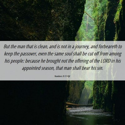 Picture 06 - Numbers 9:13 KJV - But the man that is clean, and is not in a - Bible Verse Picture