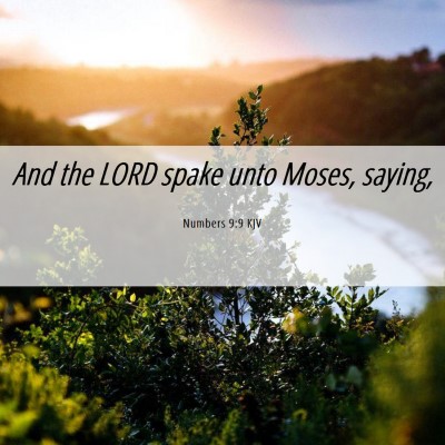 Picture 06 - Numbers 9:9 KJV - And the LORD spake unto Moses, - Bible Verse Picture