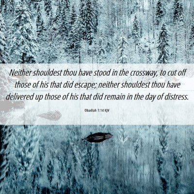 Picture 06 - Obadiah 1:14 KJV - Neither shouldest thou have stood in the - Bible Verse Picture