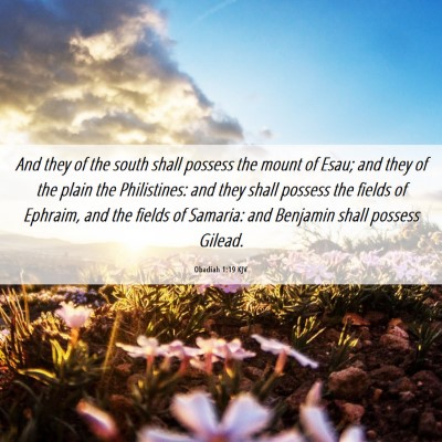Picture 06 - Obadiah 1:19 KJV - And they of the south shall possess the mount of - Bible Verse Picture