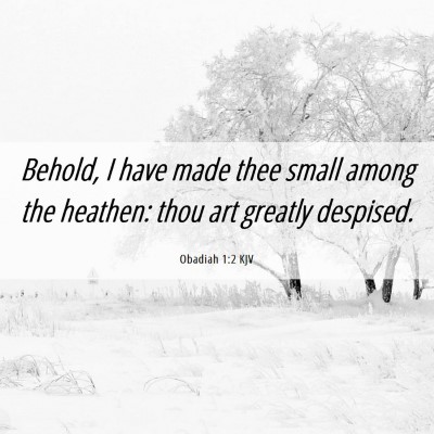 Picture 06 - Obadiah 1:2 KJV - Behold, I have made thee small among the heathen: - Bible Verse Picture