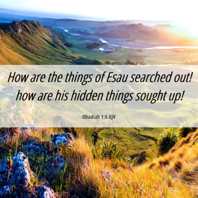 Picture 06 - Obadiah 1:6 KJV - How are the things of Esau searched out! how are - Bible Verse Picture