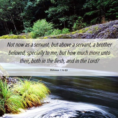 Picture 06 - Philemon 1:16 KJV - Not now as a servant, but above a servant, a - Bible Verse Picture