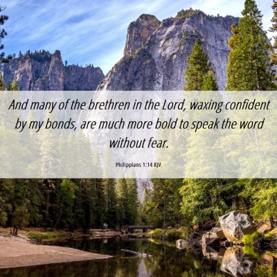 Picture 06 - Philippians 1:14 KJV - And many of the brethren in the Lord, waxing - Bible Verse Picture
