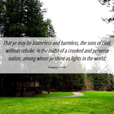 Picture 06 - Philippians 2:15 KJV - That ye may be blameless and harmless, the sons - Bible Verse Picture