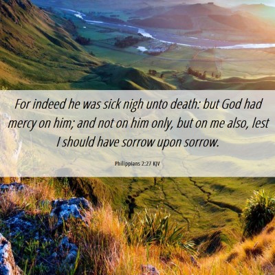 Picture 06 - Philippians 2:27 KJV - For indeed he was sick nigh unto death: but God - Bible Verse Picture
