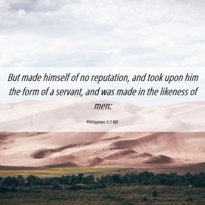 Picture 06 - Philippians 2:7 KJV - But made himself of no reputation, and took upon - Bible Verse Picture