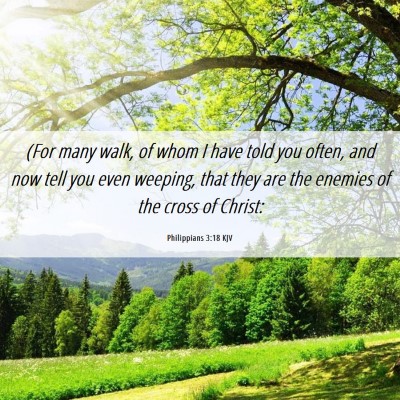 Picture 06 - Philippians 3:18 KJV - (For many walk, of whom I have told you often, - Bible Verse Picture