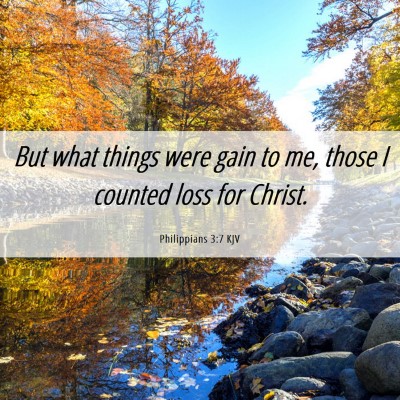 Picture 06 - Philippians 3:7 KJV - But what things were gain to me, those I counted - Bible Verse Picture