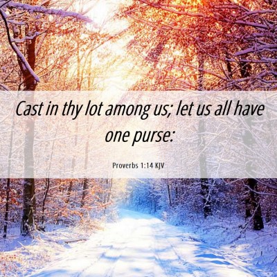 Picture 06 - Proverbs 1:14 KJV - Cast in thy lot among us; let us all have one - Bible Verse Picture