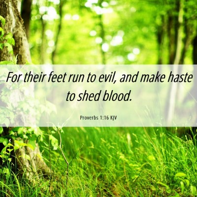 Picture 06 - Proverbs 1:16 KJV - For their feet run to evil, and make haste to - Bible Verse Picture