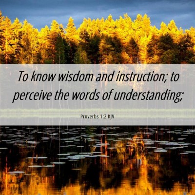 Picture 06 - Proverbs 1:2 KJV - To know wisdom and instruction; to perceive the - Bible Verse Picture