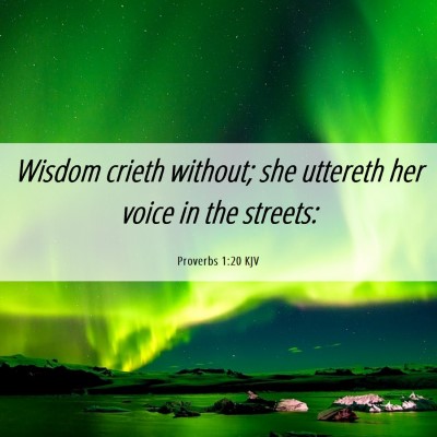 Picture 06 - Proverbs 1:20 KJV - Wisdom crieth without; she uttereth her voice in - Bible Verse Picture