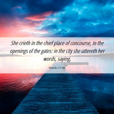 Picture 06 - Proverbs 1:21 KJV - She crieth in the chief place of concourse, in - Bible Verse Picture