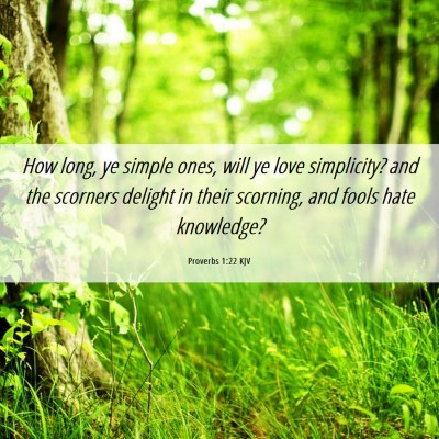Picture 06 - Proverbs 1:22 KJV - How long, ye simple ones, will ye love - Bible Verse Picture