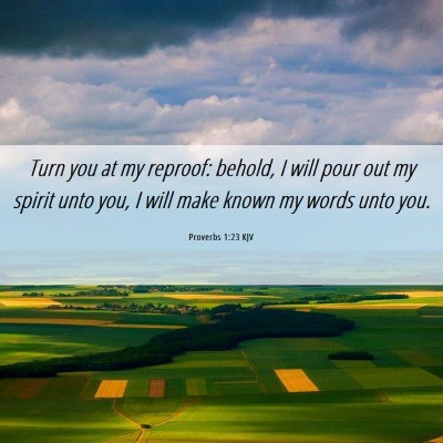 Picture 06 - Proverbs 1:23 KJV - Turn you at my reproof: behold, I will pour out - Bible Verse Picture