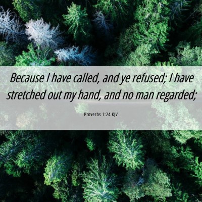 Picture 06 - Proverbs 1:24 KJV - Because I have called, and ye refused; I have - Bible Verse Picture