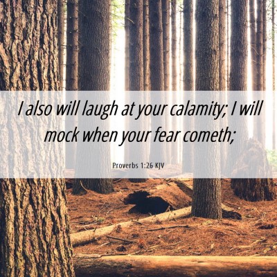 Picture 06 - Proverbs 1:26 KJV - I also will laugh at your calamity; I will mock - Bible Verse Picture