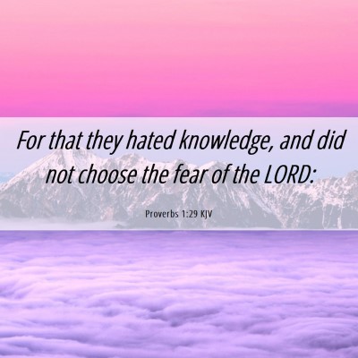 Picture 06 - Proverbs 1:29 KJV - For that they hated knowledge, and did not choose - Bible Verse Picture