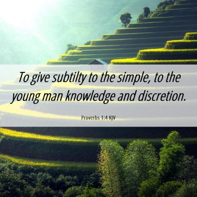 Picture 06 - Proverbs 1:4 KJV - To give subtilty to the simple, to the young man - Bible Verse Picture